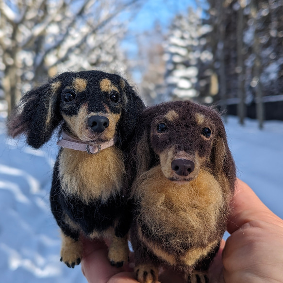 【渋いチョコタン】【13cm/鼻先からお尻】ダックス　羊毛フェルト犬 8枚目の画像