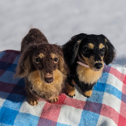 【渋いチョコタン】【13cm/鼻先からお尻】ダックス　羊毛フェルト犬 5枚目の画像