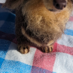 【渋いチョコタン】【13cm/鼻先からお尻】ダックス　羊毛フェルト犬 4枚目の画像