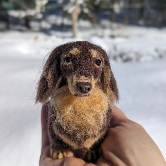 【渋いチョコタン】【13cm/鼻先からお尻】ダックス　羊毛フェルト犬 9枚目の画像