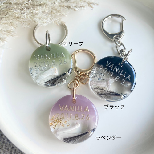 うちの子素材】『雲』全12色 名入れ可 ペットの毛・ヒゲ・羽・爪・乳歯