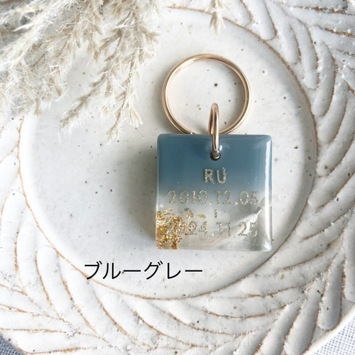 うちの子素材】『雲』全12色 名入れ可 ペットの毛・ヒゲ・羽・爪・乳歯