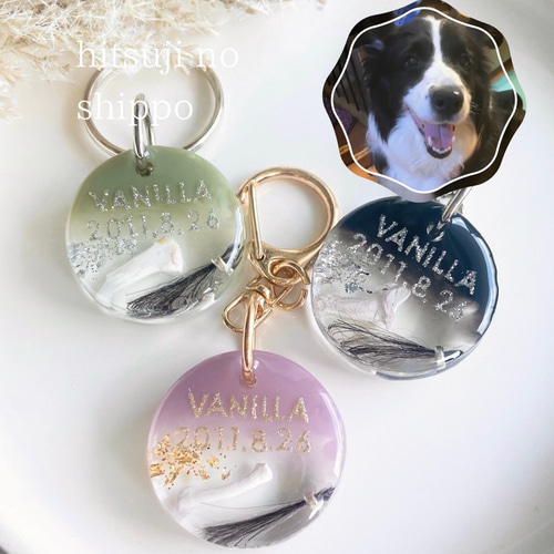 うちの子素材】『雲』全12色 名入れ可 ペットの毛・ヒゲ・羽・爪・乳歯