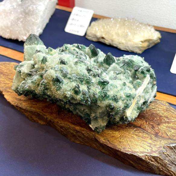 緑の結晶が光り輝くグリーンクォーツクラスター/緑水晶の原石 １２３８ｇ 癒しと自己治癒力の効果をもたらします オブジェ 