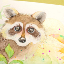 Racoon 〜 　狸　水彩　原画 2枚目の画像