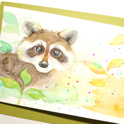 Racoon 〜 　狸　水彩　原画 3枚目の画像