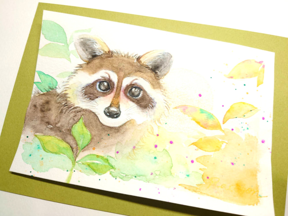 Racoon 〜 　狸　水彩　原画 3枚目の画像