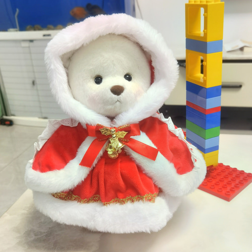 レナ・ベア 服 30cm sサイズ共通 コスチューム クリスマス