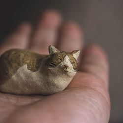 瞑想猫【猫_805】 10枚目の画像