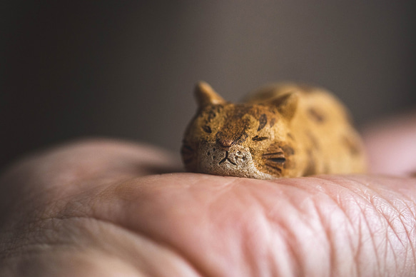 お座り猫【猫_809】 2枚目の画像