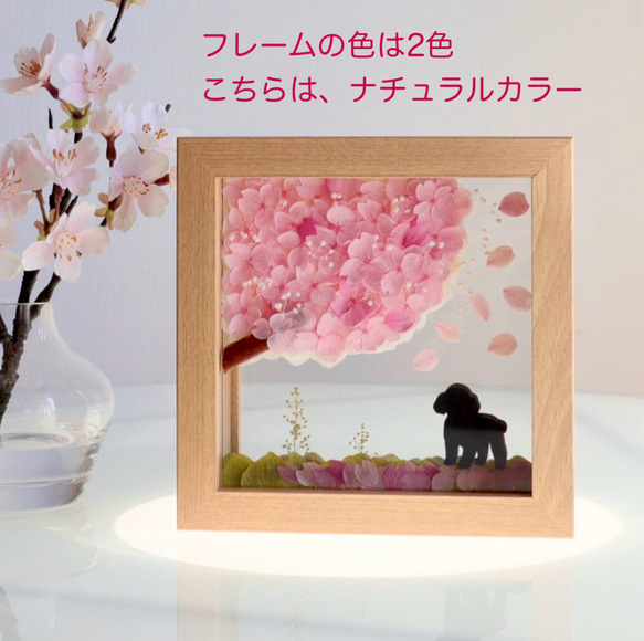 桜（他4色／白／黄／水色／緑）＆選べる猫犬【楽しいリバーシブル】プリザーブドフラワー（無料ギフトラッピング） 5枚目の画像