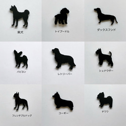 桜（他4色／白／黄／水色／緑）＆選べる猫犬【楽しいリバーシブル】プリザーブドフラワー（無料ギフトラッピング） 16枚目の画像