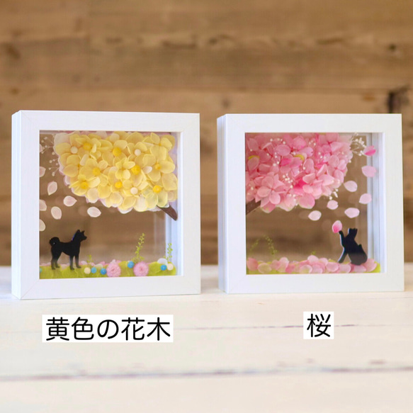 桜（他4色／白／黄／水色／緑）＆選べる猫犬【楽しいリバーシブル】プリザーブドフラワー（無料ギフトラッピング） 8枚目の画像