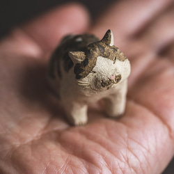 おやびんチョビ猫【猫_824】 10枚目の画像