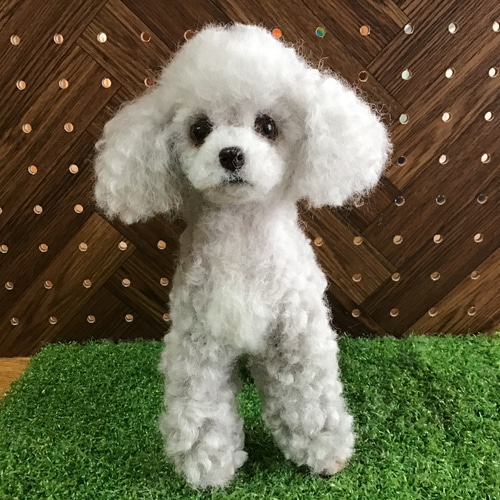 トイプードルアプリコットちゃん♡立ちポーズ。ビッグサイズ
