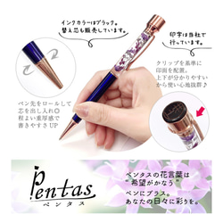 再販✕2 ❆新作❆シマエナガの印鑑付きハーバリウムボールペン～ Pentasペンタス♪ お誕生日プレゼントにも… 11枚目の画像