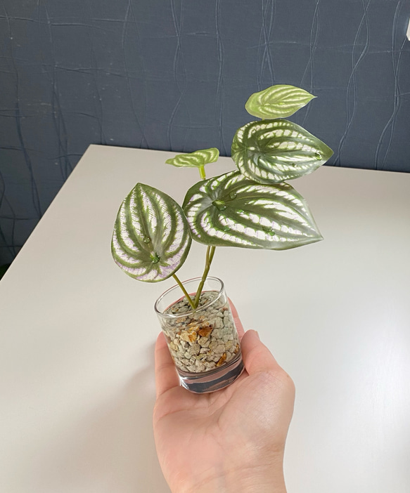 ■本物そっくり枯れない観葉植物■ミニ　フェイクグリーン　葉世話いらず　ガラス瓶　インテリア　ディスプレイ　グリーン 6枚目の画像