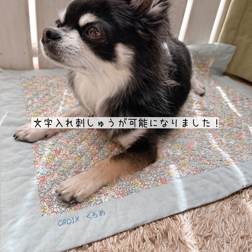 ひな様✨御専用カフェマット 【公式通販】