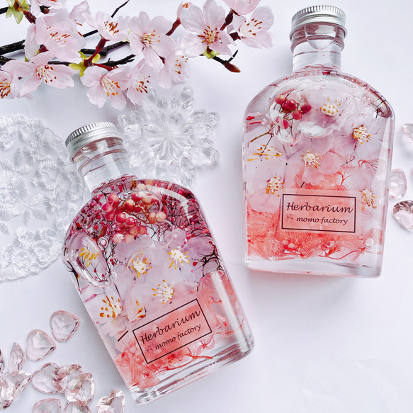【母の日】春を告げる桜のハーバリウム　spring  フラワーギフト 3枚目の画像