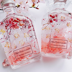 【母の日】春を告げる桜のハーバリウム　spring  フラワーギフト 5枚目の画像