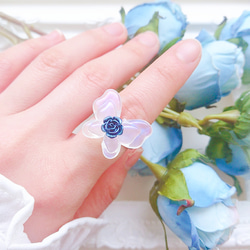 きらめく青薔薇とオーロラ蝶のリング / バラ クリア 韓国ファッション 韓国風 清楚 2枚目の画像