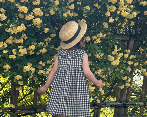 a5fba6054796a1d03f5aae83dce99d