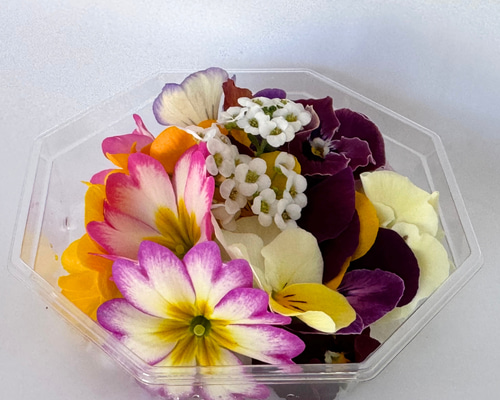 お花 ee513cb09a75c98cb9348bad93c54b