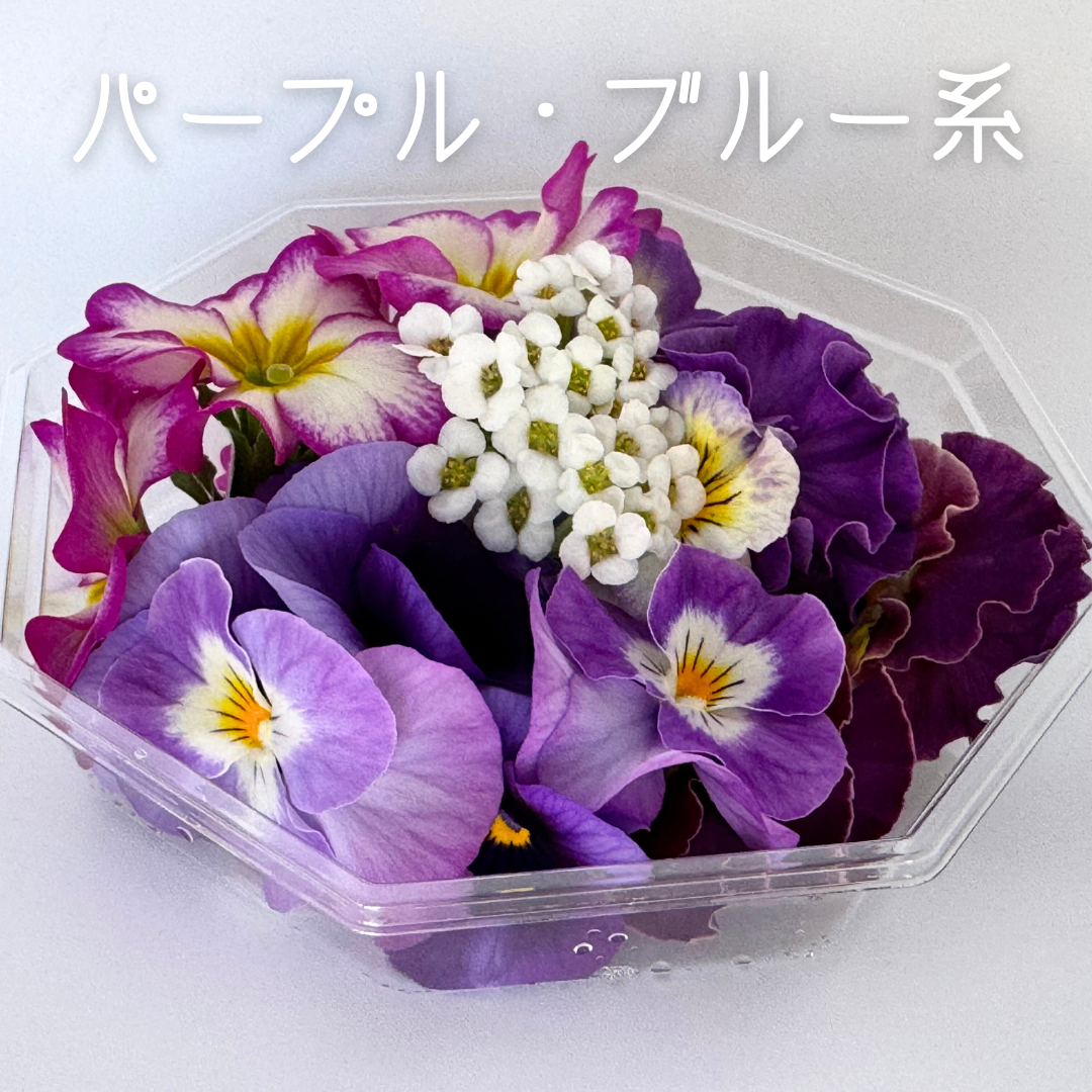 まりえ 光触媒フラワー ブルーローズとパープルローズの花束風スワッグ パープルローズとミニ薔薇とかすみ草のふんわり花束