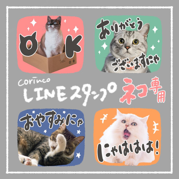 にゃだむ様【1周年SALEコンプリートset＋金】 にゃだむ様【1周年SALEコンプリートset＋金】