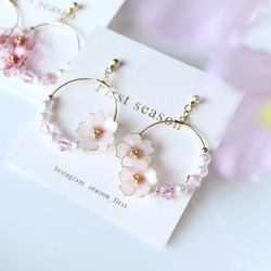 桜フープピアス・イヤリング　桜color　サクラ　さくら 4枚目の画像