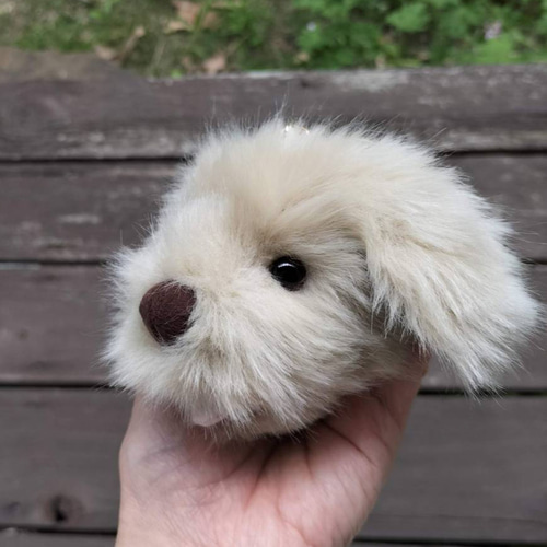 手のひらに、生きてるみたいな命の重み・ふさふさパトラン
