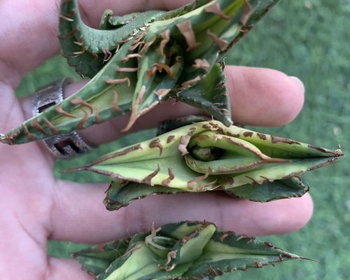 800fb207c03343baf57cdd69e48053