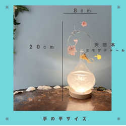 ◆夜桜◆結晶/和紙が描くストームグラス 雫ライト 15枚目の画像