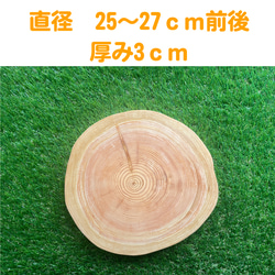 【割れ防止加工】皮無しヒノキの輪切り　直径25～27ｃｍ前後　厚み3ｃｍ【テスト販売】 1枚目の画像