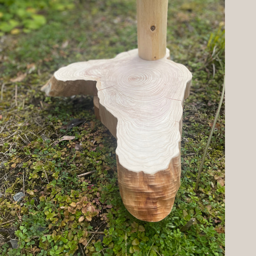 ミミズクさんの止まり木に 檜切り株