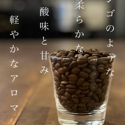 【送料無料】ウガンダ・アフリカンスノー　100g×3（豆） 2枚目の画像