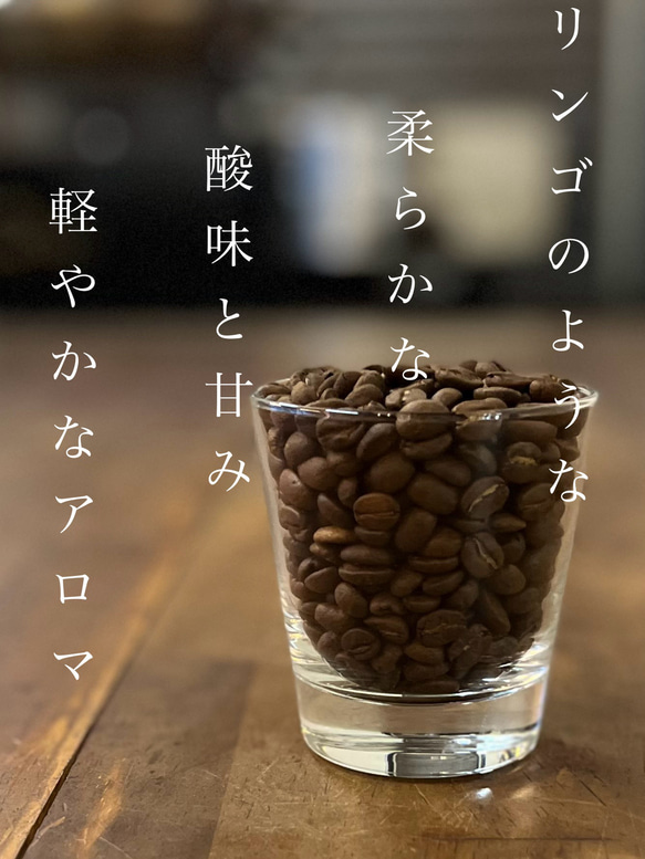 【送料無料】ウガンダ・アフリカンスノー　100g×3（豆） 2枚目の画像