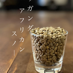 【送料無料】ウガンダ・アフリカンスノー　100g×3（豆） 1枚目の画像