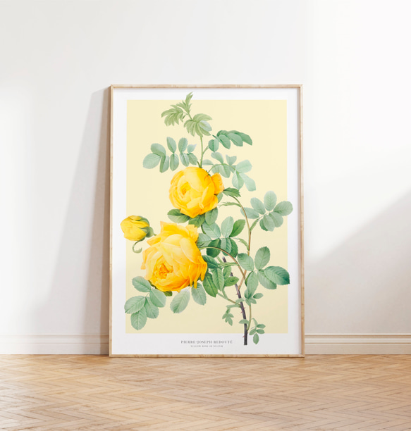 黄色のバラ アートポスター インテリアアート 春 ピエール＝ジョゼフ
