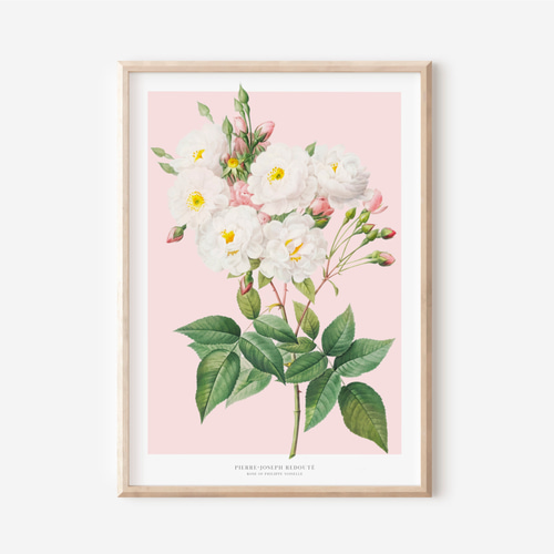 油彩風ポスター 『薔薇の誓い』【A2サイズ：コーティング済み】 油彩風