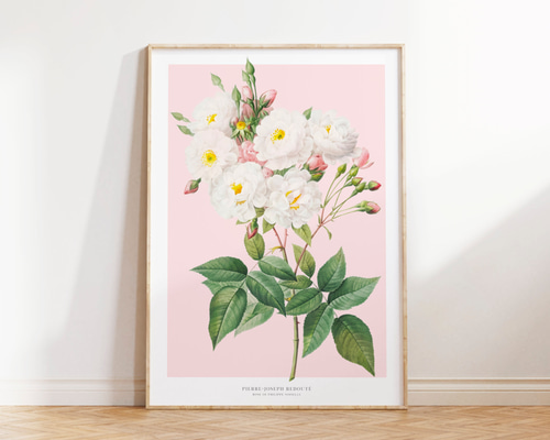 額付きヴィンテージポスター パステルローズ ff3190416b7d89571edcd780a4a032