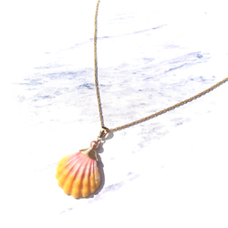 希少！サンライズシェル♡ハンドメイドピアス　オアフ島KAMERA K14ハワイ 希少！サンライズシェル♡ハンドメイドピアス オアフ島KAMERA K14ハワイ