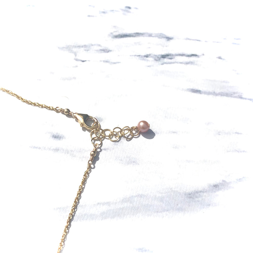 期間限定/送料無料！希少カラー ハワイアン サンライズシェル