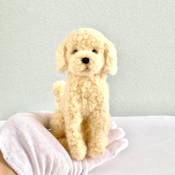 いつでもいっしょ♪ ふわふわ大きなオフホワイトカラーのトイプードル