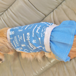 【送料無料】【スカイブルー】ダックス 小型犬用洋服 綿ノースリーブ スカート 犬服 ダックス プードル チワワ 12枚目の画像