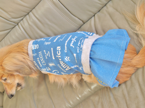 【送料無料】【スカイブルー】ダックス 小型犬用洋服 綿ノースリーブ スカート 犬服 ダックス プードル チワワ 12枚目の画像