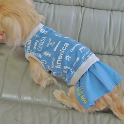 【送料無料】【スカイブルー】ダックス 小型犬用洋服 綿ノースリーブ スカート 犬服 ダックス プードル チワワ 3枚目の画像
