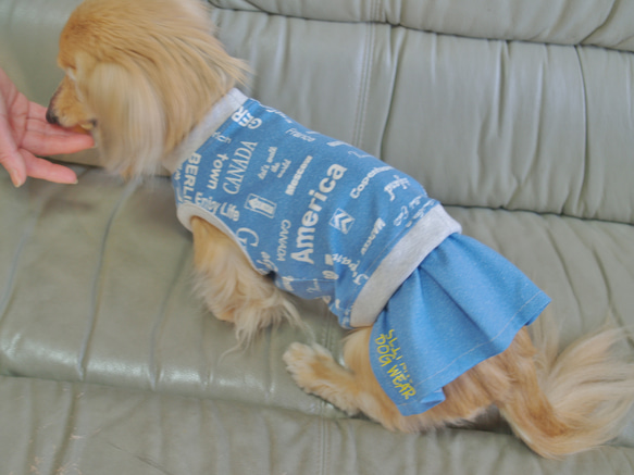【送料無料】【スカイブルー】ダックス 小型犬用洋服 綿ノースリーブ スカート 犬服 ダックス プードル チワワ 3枚目の画像