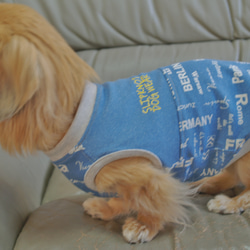 【送料無料】【スカイブルー】ダックス 小型犬用洋服 綿ノースリーブ スカート 犬服 ダックス プードル チワワ 5枚目の画像