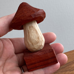 木彫り きのこ 置物 オブジェ（木材：パドウク/ホワイトアッシュ）（No.T1025） 8枚目の画像